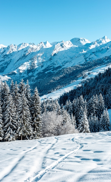 bistrot les 2 mules la clusaz